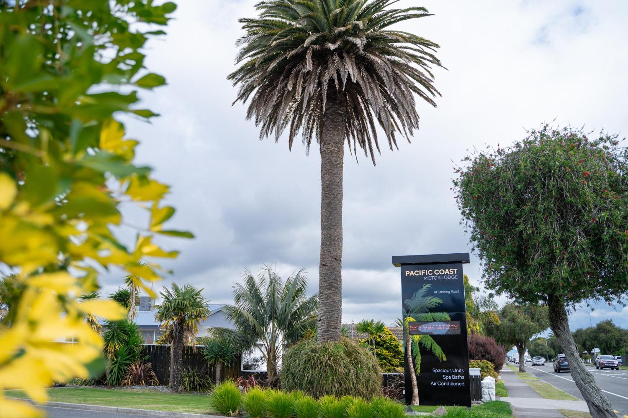 Pacific Coast Motor Lodge Whakatane Exterior photo